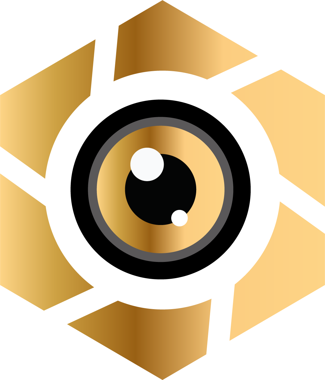 OBSERV Logo